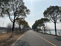 -漕湖湿地公园