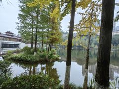 -重庆彩云湖湿地公园