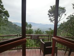 亚龙湾人间天堂-鸟巢度假村-三亚亚龙湾人间天堂鸟巢度假村