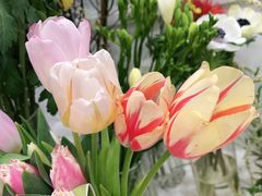 -Flower in(密渡桥店)