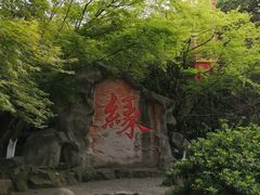 -杭州黄龙洞