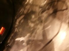 -黔蘑菇四季餐厅(观山湖店)