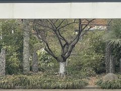 -清晏园