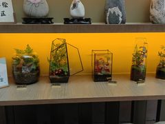 -乐山市博物馆