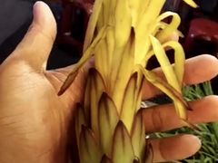 -花莲东大门国际观光夜市