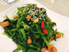 三宝菠菜-登瀛楼饭庄(领世郡店)