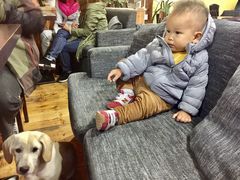 -顺顺小吃(独克宗古城店)