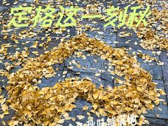 -元大都城垣遗址公园