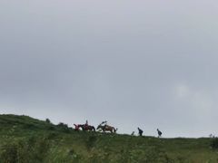 -灵山
