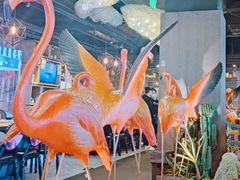 -水木锦堂·自助铁板烧(望京凯德MALL店)