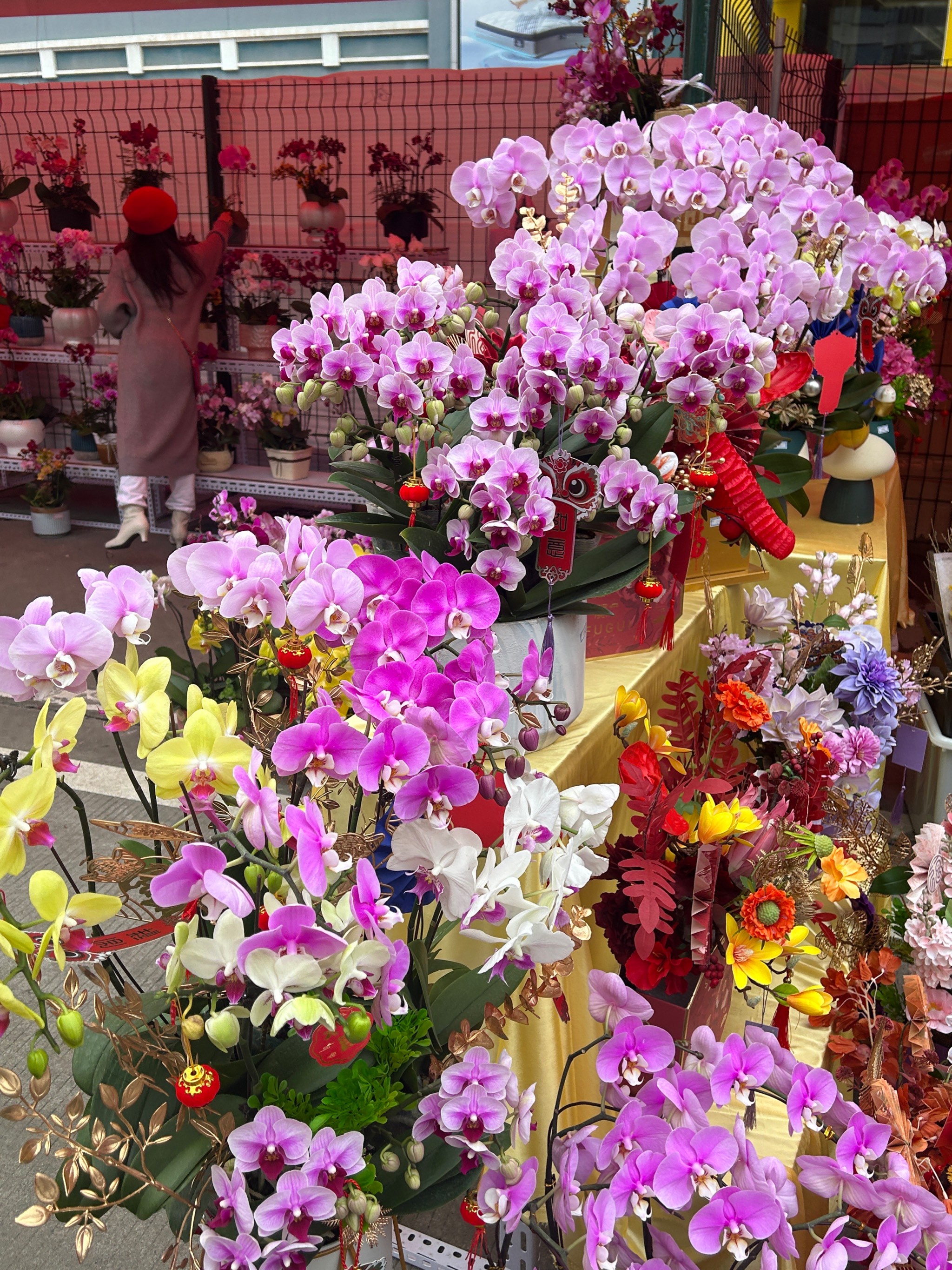 广州花卉市场砸花图片