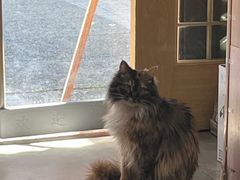 -雪月花(长江北路店)