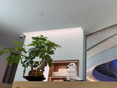 -长风拨筋养身(金虹桥店)