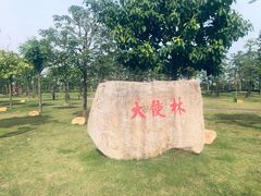 -芒洲湿地公园