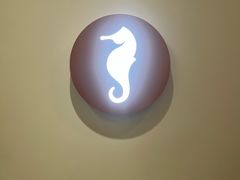 -海马体大师店(广州天汇广场IGC大师店)