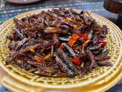 -昆虫窝子·特色云南菜(拓东路总店)