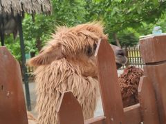 -西安秦岭野生动物园