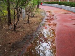 -云岗森林公园