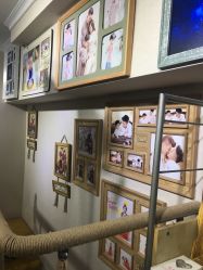 -梵梦影像馆(绿博园店)