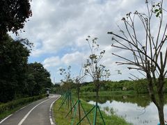 -长洲岛