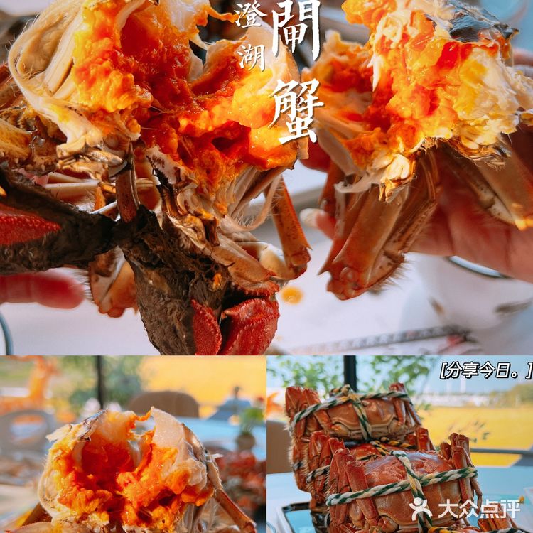 【兜兜吃吃】金秋时节吃大闸蟹🦀️还是要来阳澄湖!