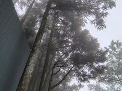 -玉苍山国家森林公园