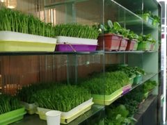 -烹然四季椰子鸡火锅(团结湖总店)