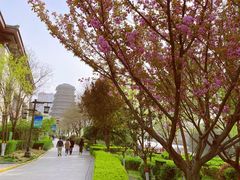 -西安汉城湖景区
