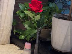 -安德烈俄式西餐厅(中央大街店)