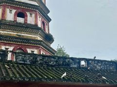 -南华禅寺