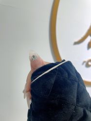 -晨·艺美甲美睫