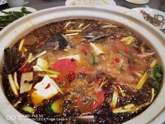 -黑河坝泡姜鸡贡椒鱼(贾旗路店)