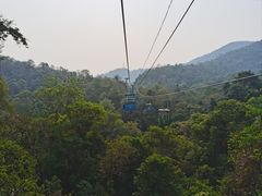 -野象谷景区
