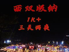 -西双版纳原始森林公园