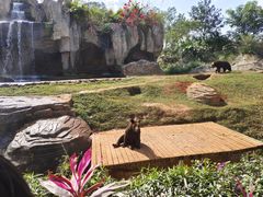 -海南热带野生动植物园