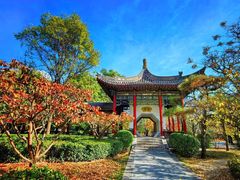-迎泽公园