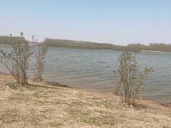 -丁香湖公园