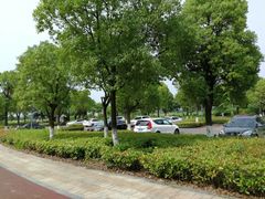 -滆湖低碳生态公园
