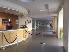 -深圳东部华侨城茵特拉根酒店