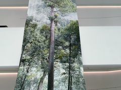 -中国湿地博物馆