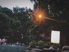 -青城道汤池