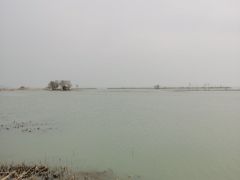 -苏州太湖湖滨国家湿地公园