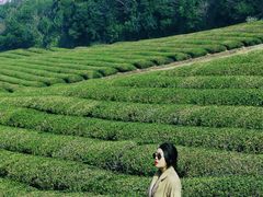 -雅达·阳羡溪山小镇中心