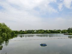 -上海长兴岛郊野公园