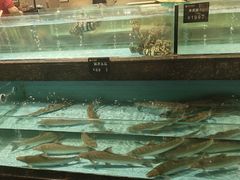 -西贝海鲜汇(槐安路店)