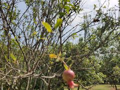 -中国移动南方基地