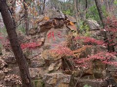 -虞山风景区