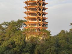 -缙云山景区