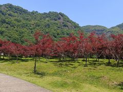 -五泄景区