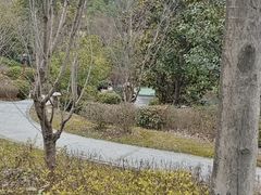 -天屿湖